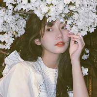 飞鸟NPV加速器iOS版用户LISA,很满意飞鸟NPV加速器iOS版