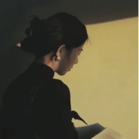 飞鸟NPV加速器VPN用户LISA,很满意飞鸟NPV加速器VPN